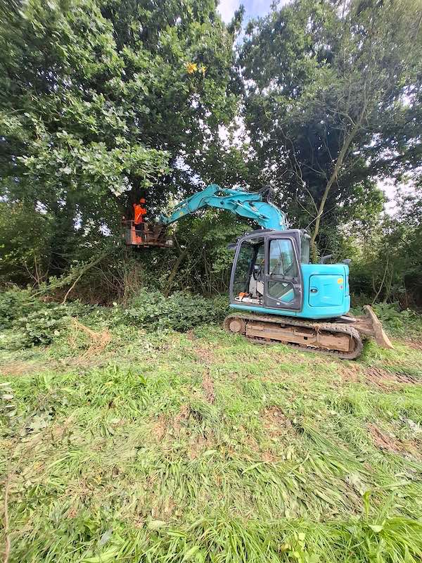 élagage ille et vilaine